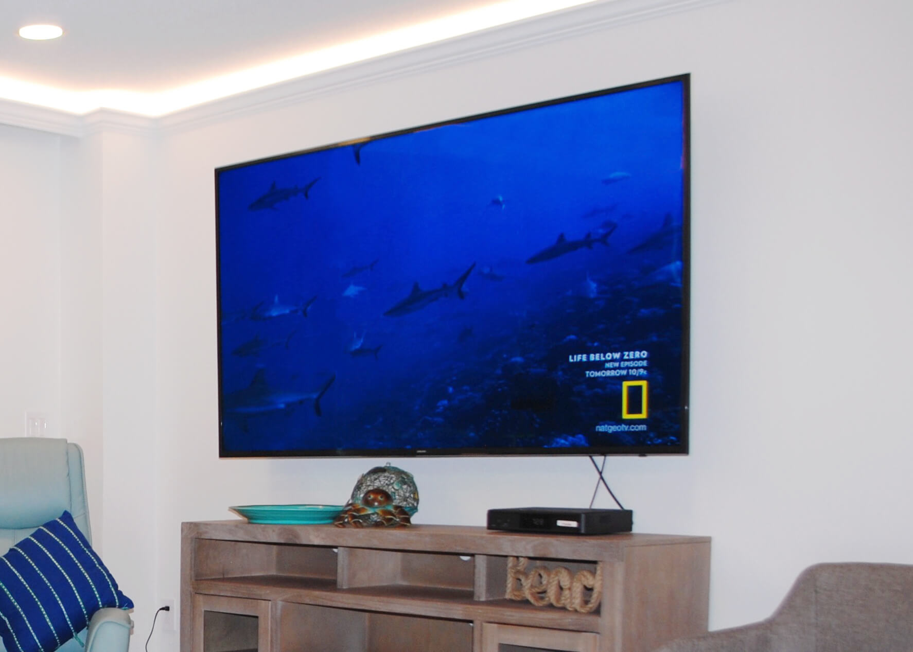 TV